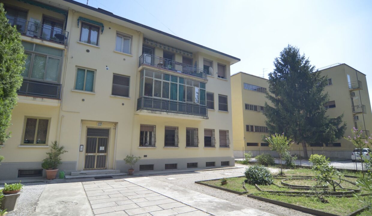 FOTO_8